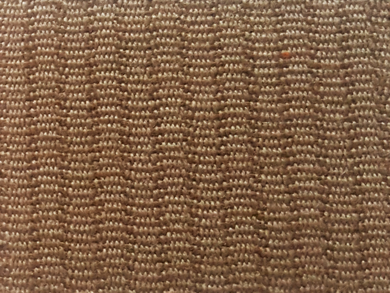 10004