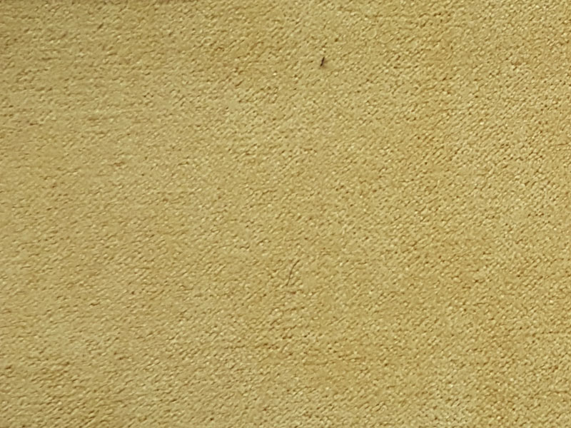 10036/1005