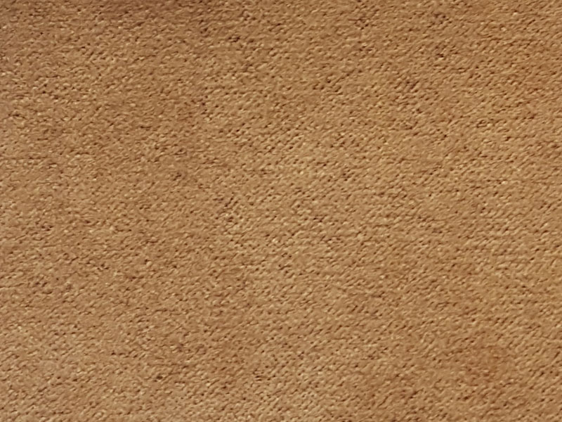 10036/1007