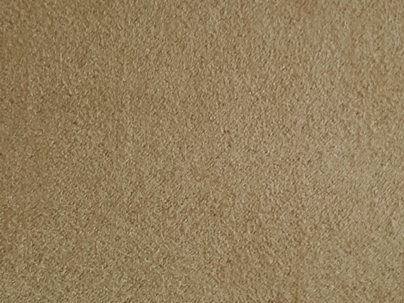 10036/1055