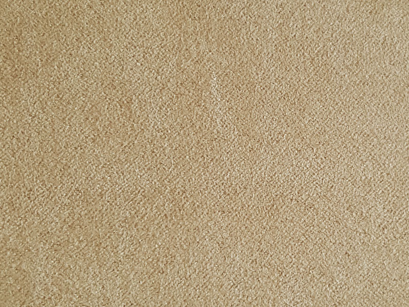 10036/1056