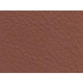 00021/MS/220